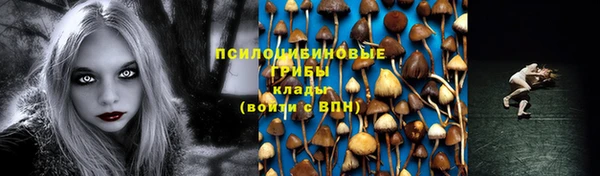 твердый Вяземский