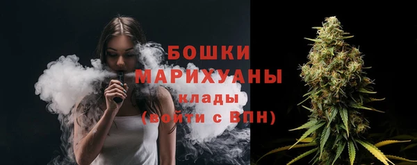 твердый Вяземский