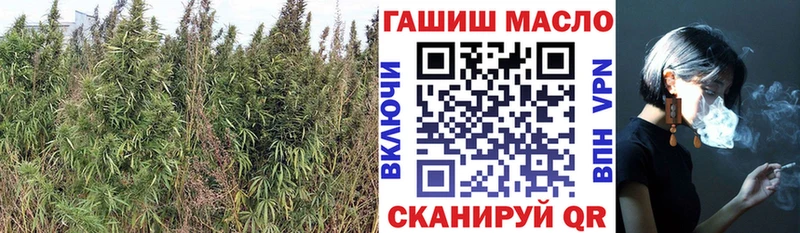 где продают   Зима  Дистиллят ТГК вейп с тгк 